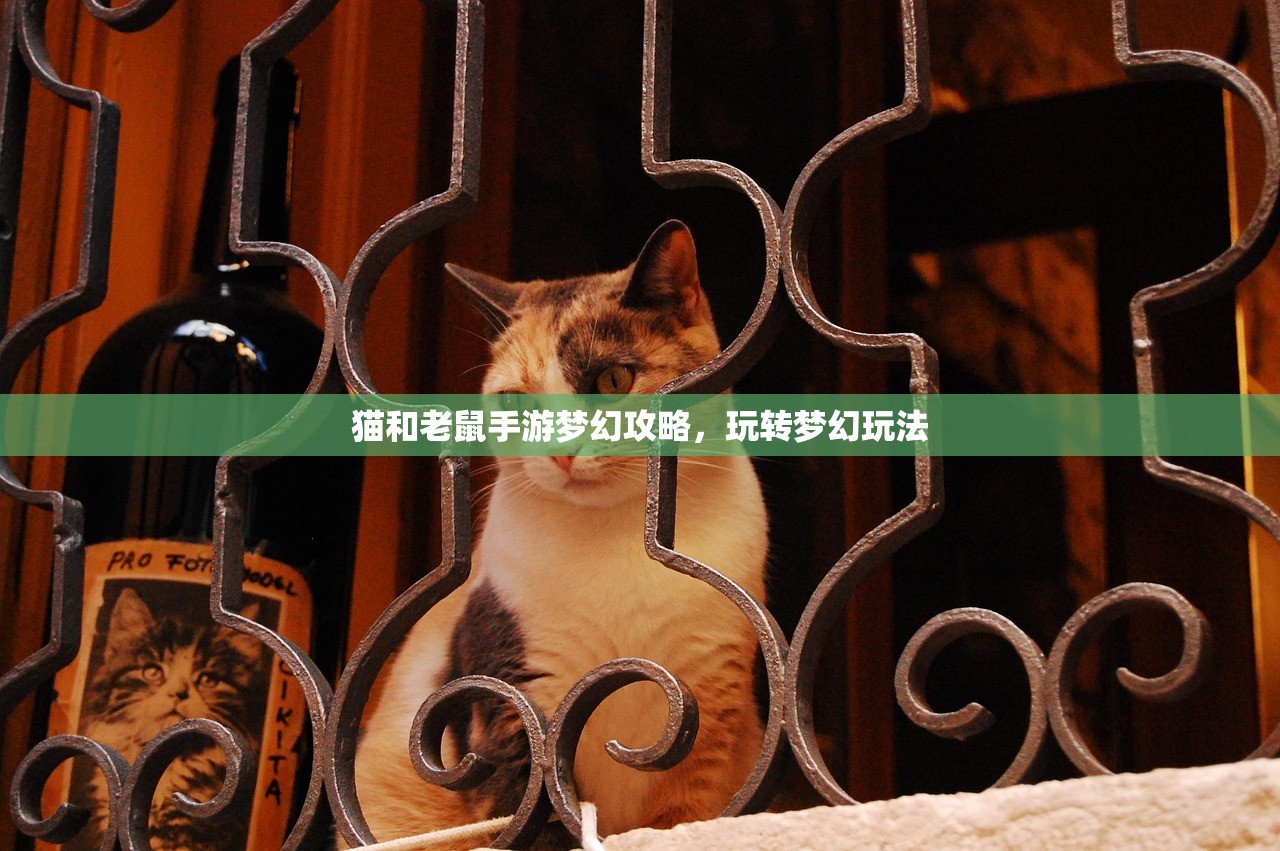 猫和老鼠手游梦幻攻略，玩转梦幻玩法