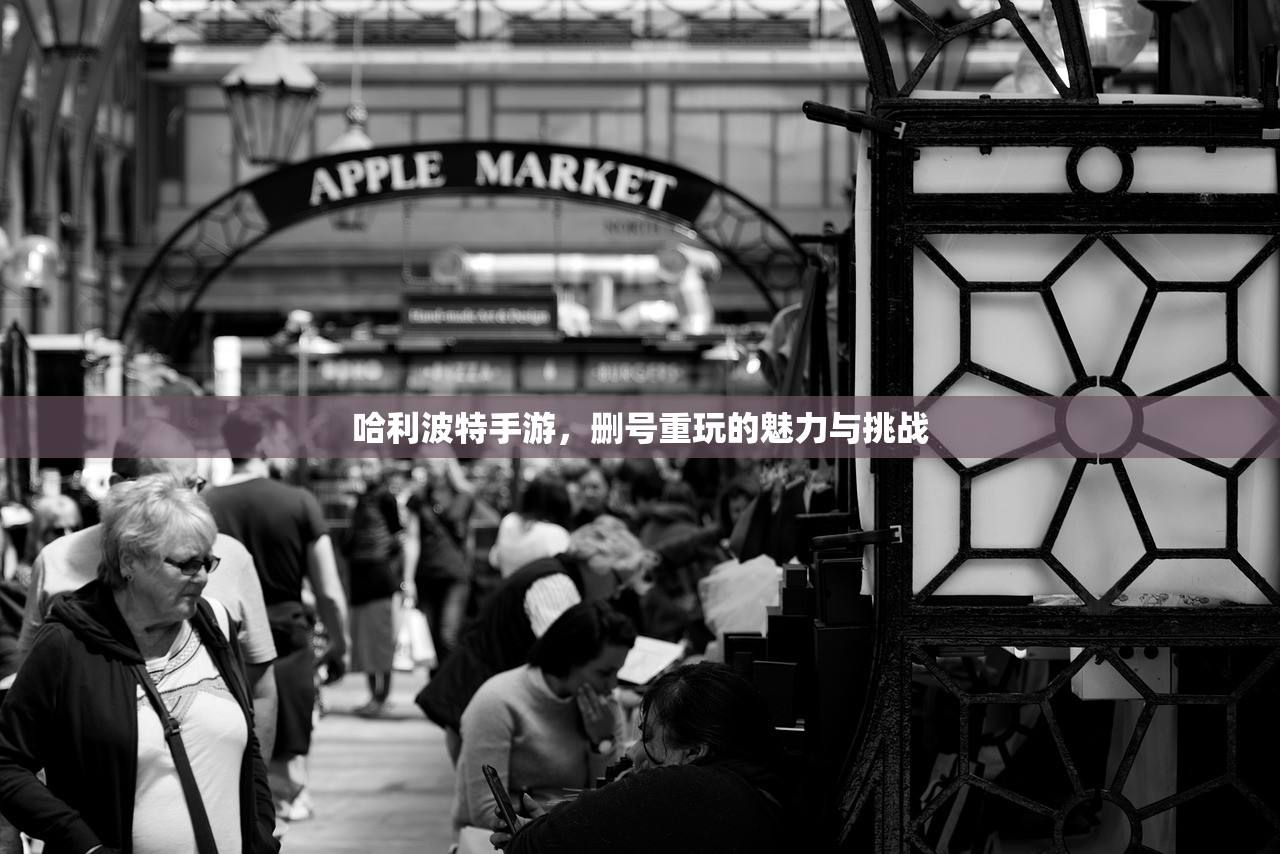 哈利波特手游，删号重玩的魅力与挑战