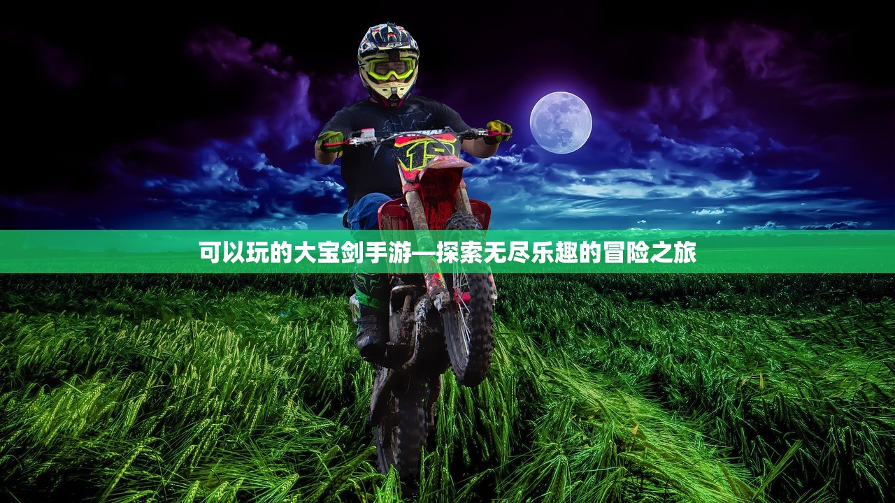 可以玩的大宝剑手游—探索无尽乐趣的冒险之旅