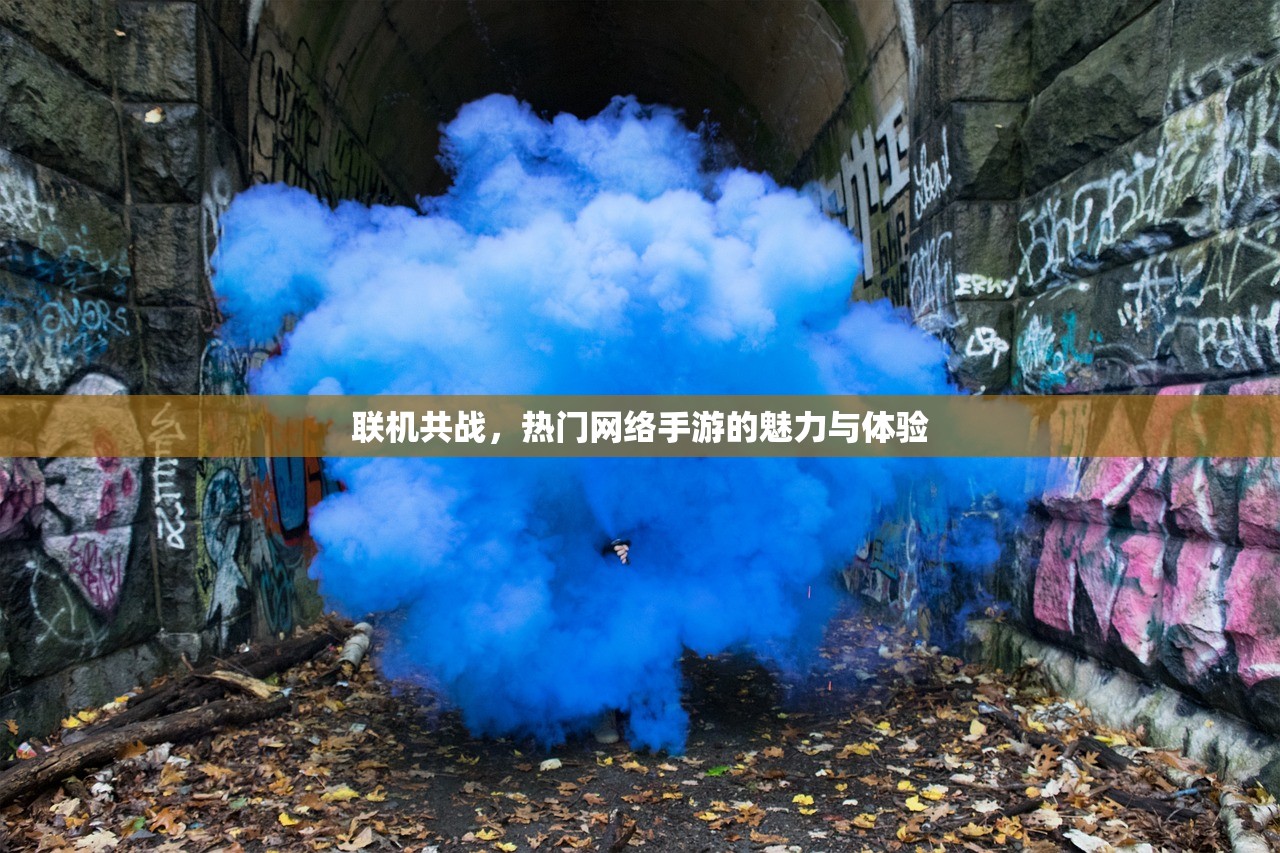 联机共战，热门网络手游的魅力与体验
