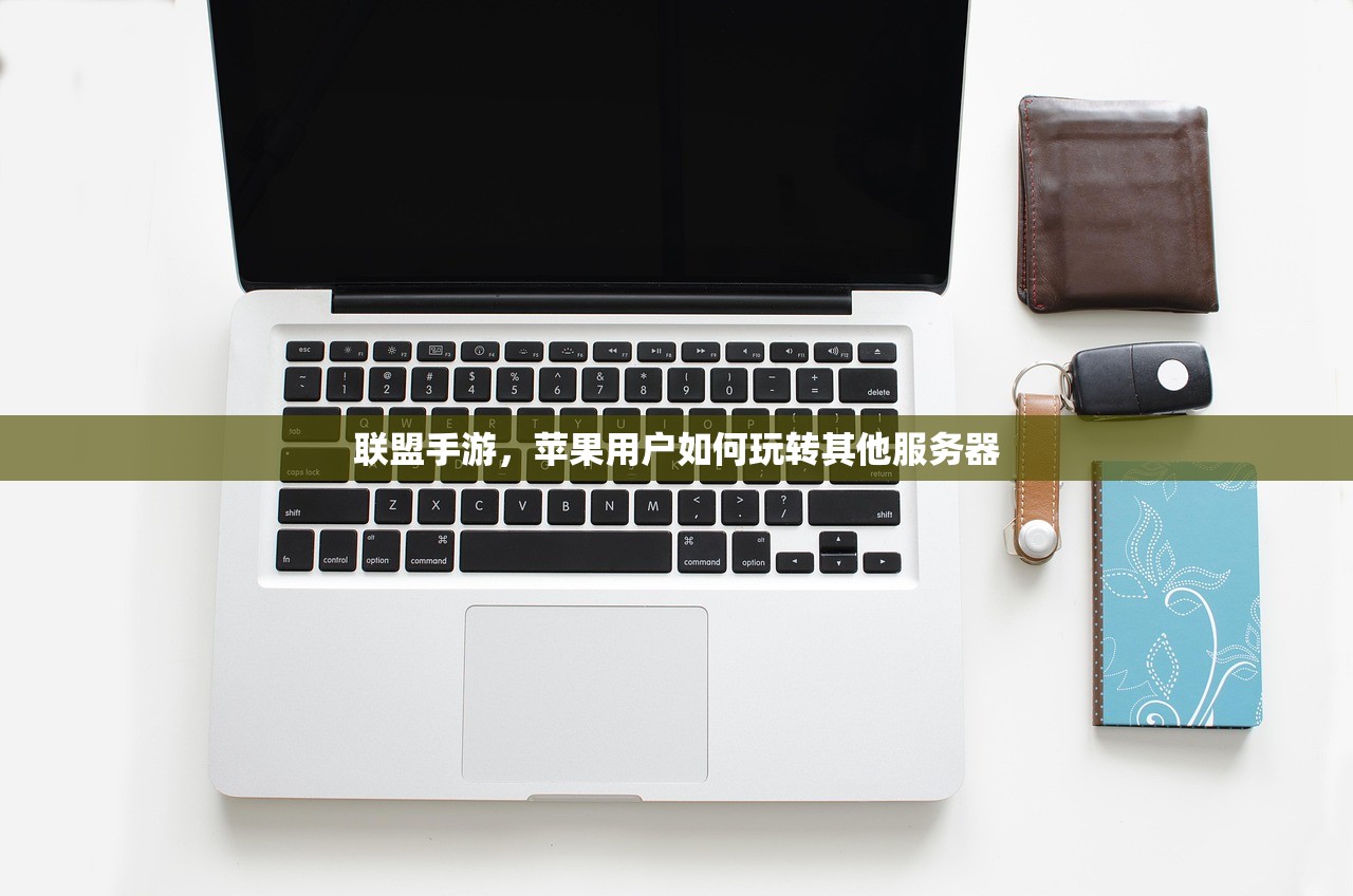 联盟手游，苹果用户如何玩转其他服务器