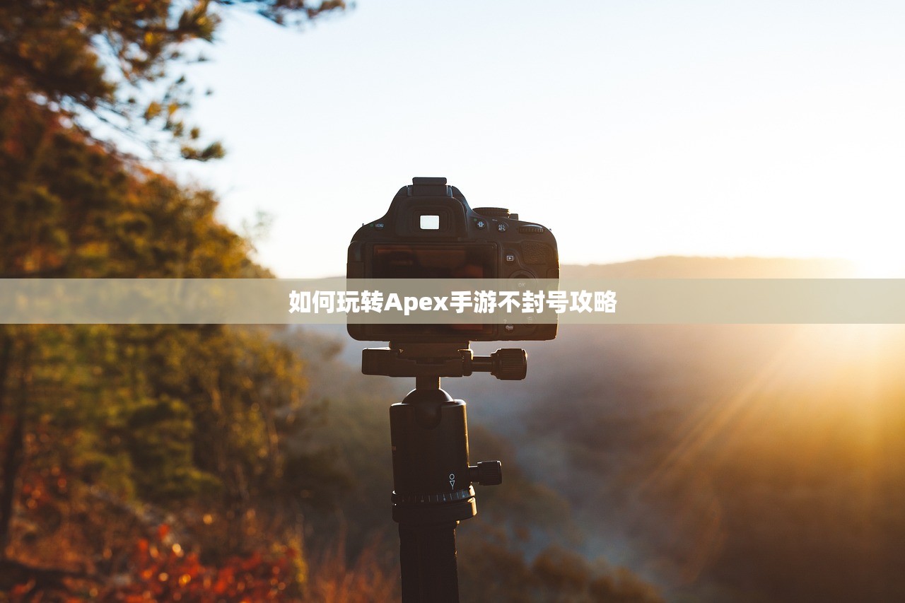 如何玩转Apex手游不封号攻略