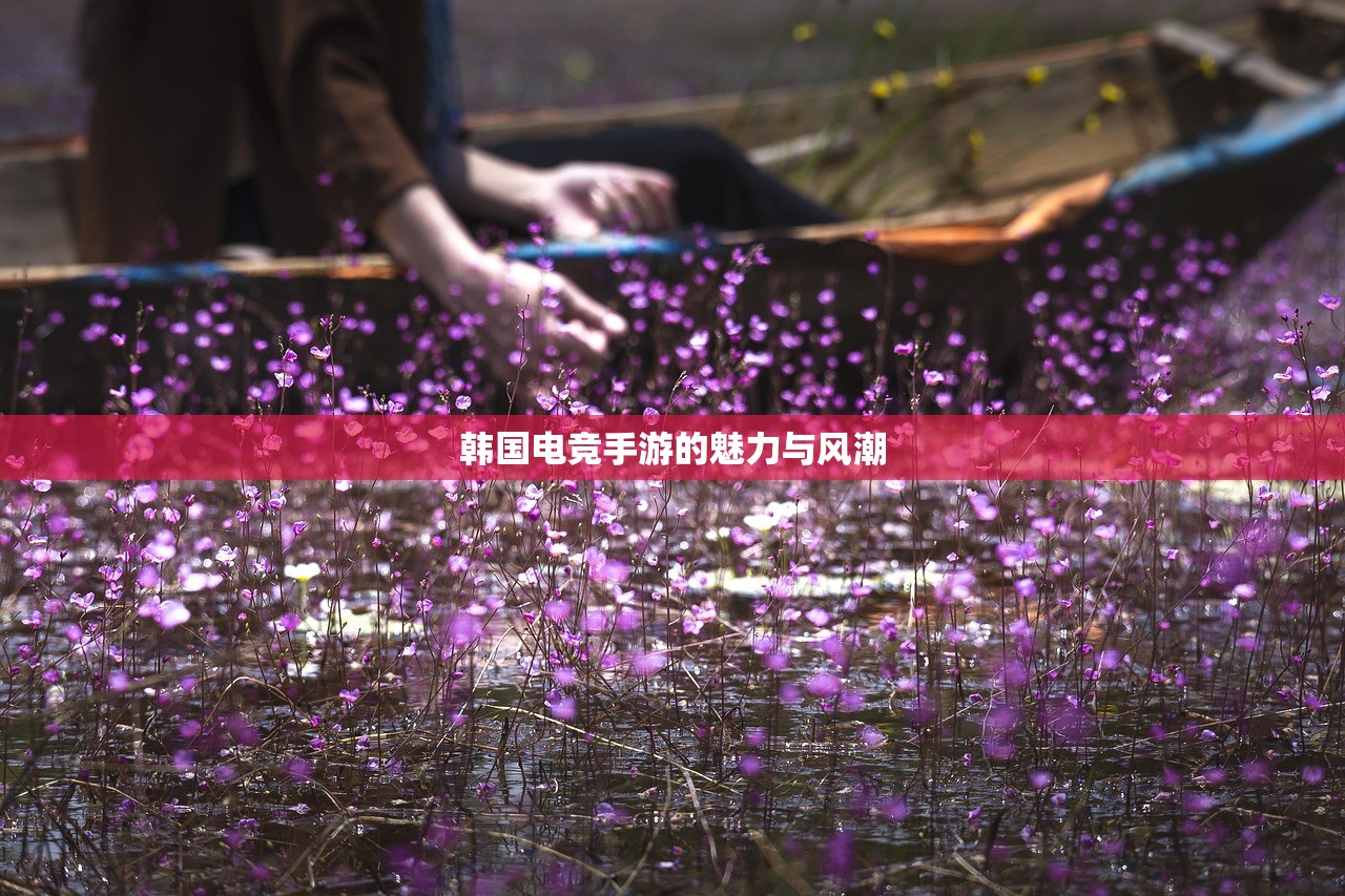 韩国电竞手游的魅力与风潮