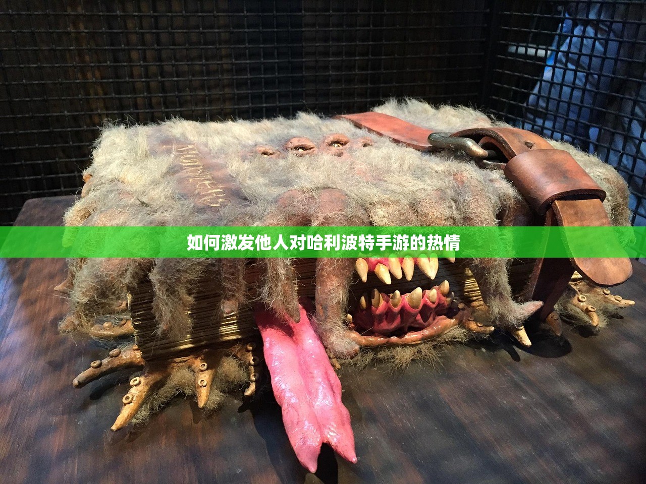 如何激发他人对哈利波特手游的热情