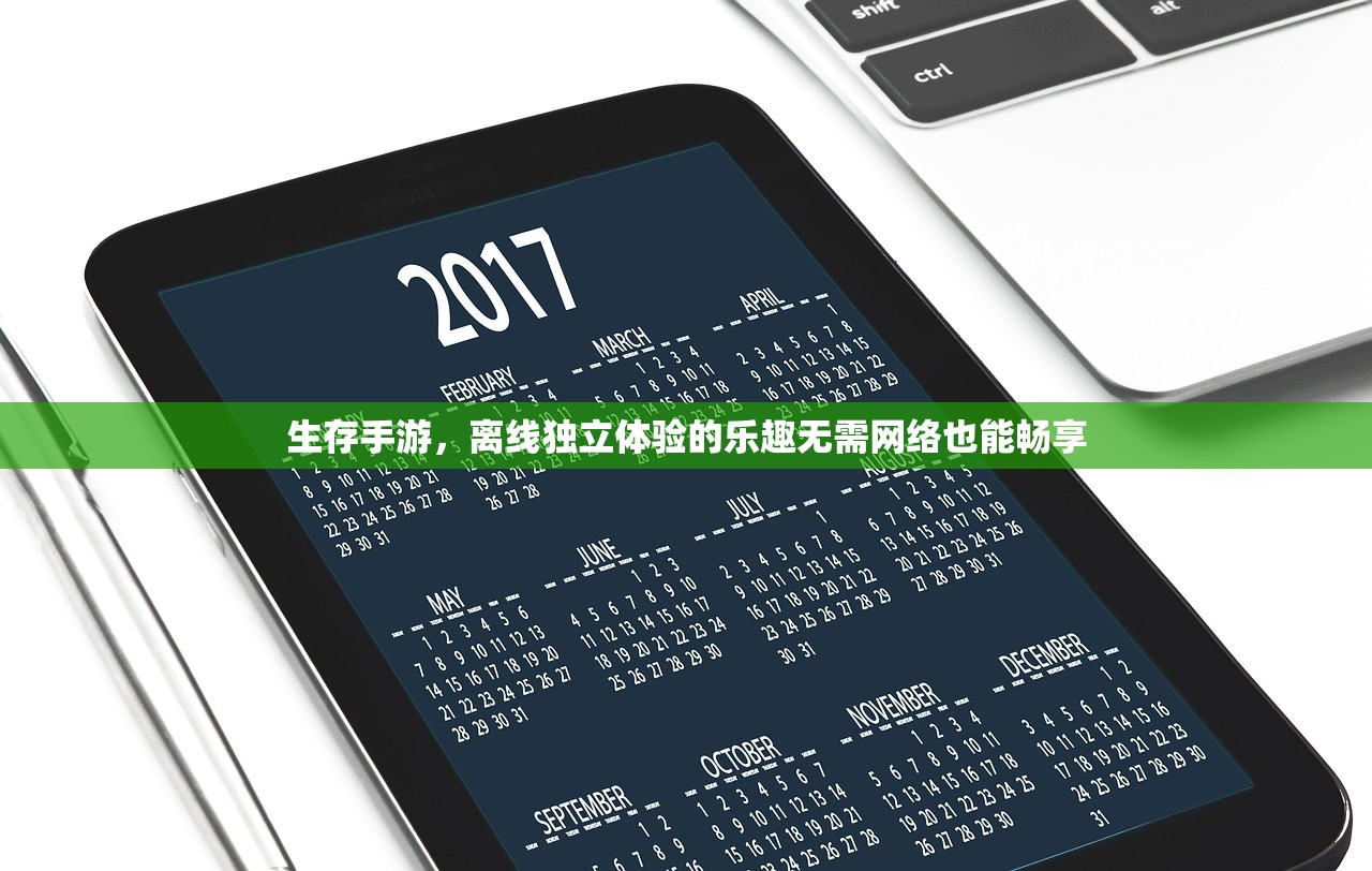 生存手游，离线独立体验的乐趣无需网络也能畅享