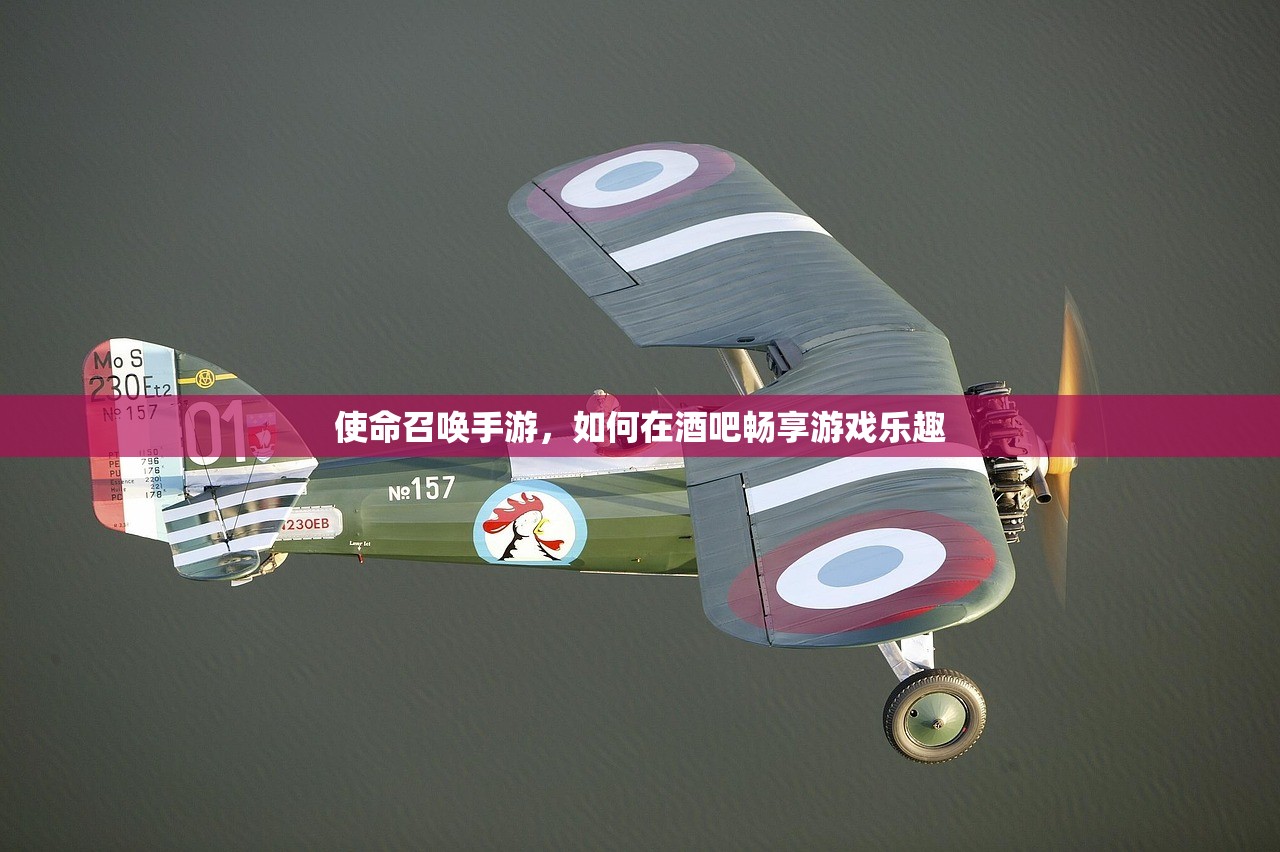 使命召唤手游，如何在酒吧畅享游戏乐趣