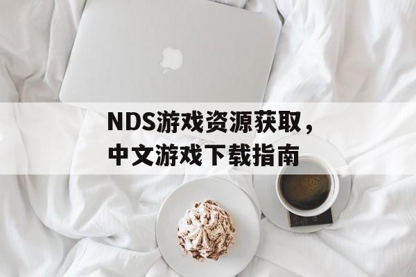 NDS游戏资源获取，中文游戏下载指南