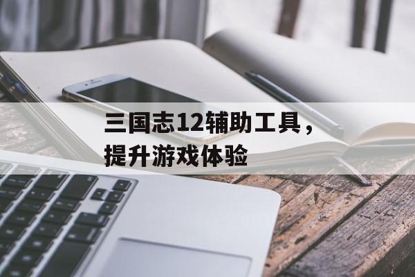 三国志12辅助工具，提升游戏体验
