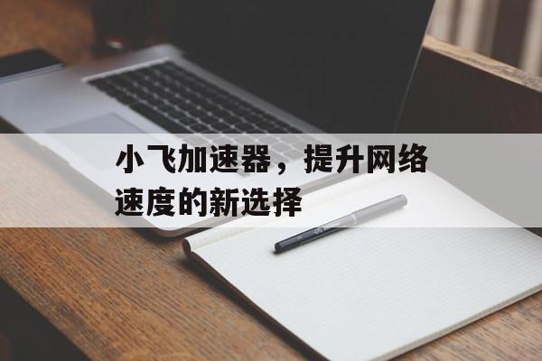 小飞加速器，提升网络速度的新选择