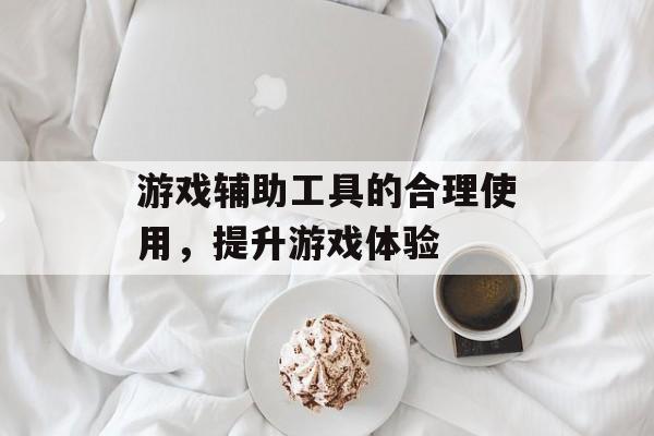 游戏辅助工具的合理使用，提升游戏体验