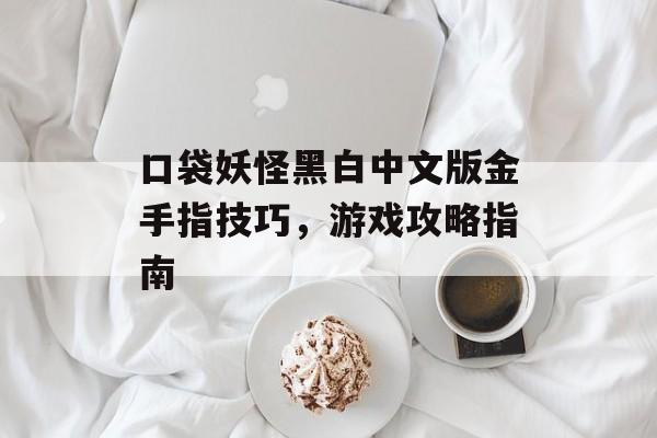口袋妖怪黑白中文版金手指技巧，游戏攻略指南