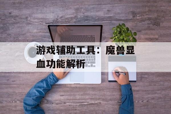 游戏辅助工具：魔兽显血功能解析