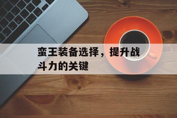 蛮王装备选择，提升战斗力的关键