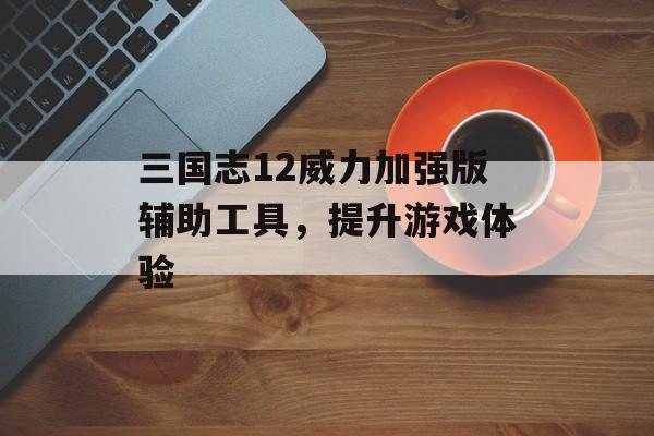 三国志12威力加强版辅助工具，提升游戏体验