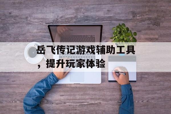 岳飞传记游戏辅助工具，提升玩家体验