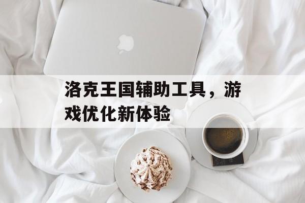 洛克王国辅助工具，游戏优化新体验
