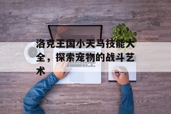 洛克王国小天马技能大全，探索宠物的战斗艺术