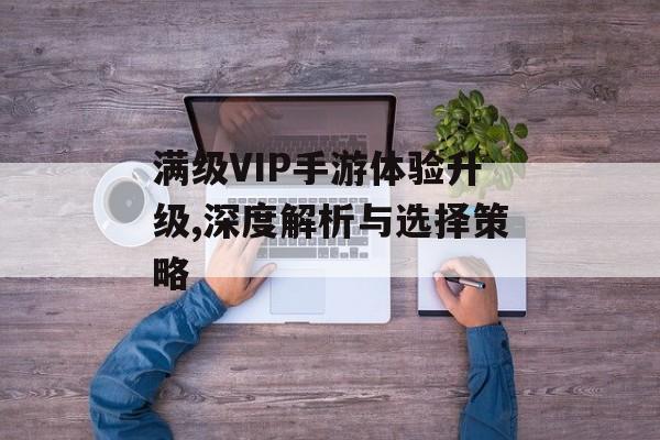 满级VIP手游体验升级,深度解析与选择策略