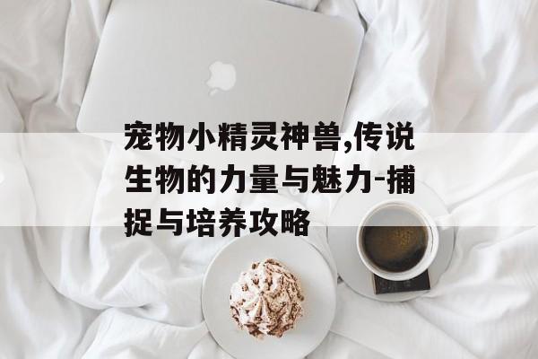 宠物小精灵神兽,传说生物的力量与魅力-捕捉与培养攻略