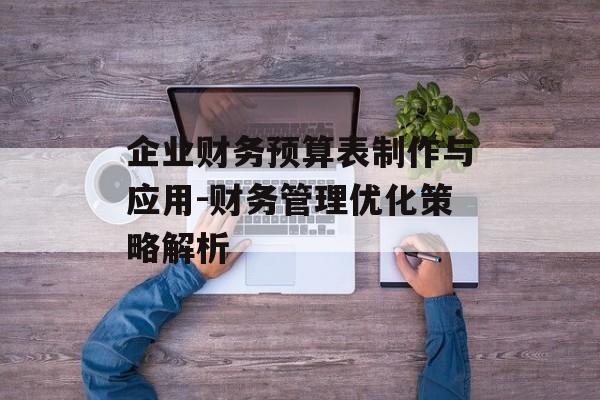 企业财务预算表制作与应用-财务管理优化策略解析