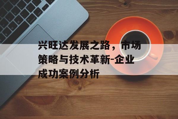 兴旺达发展之路，市场策略与技术革新-企业成功案例分析