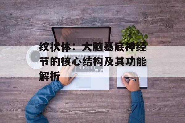 纹状体：大脑基底神经节的核心结构及其功能解析