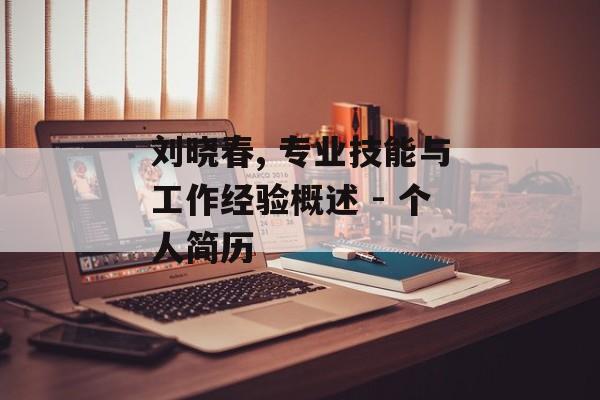 刘晓春, 专业技能与工作经验概述 - 个人简历