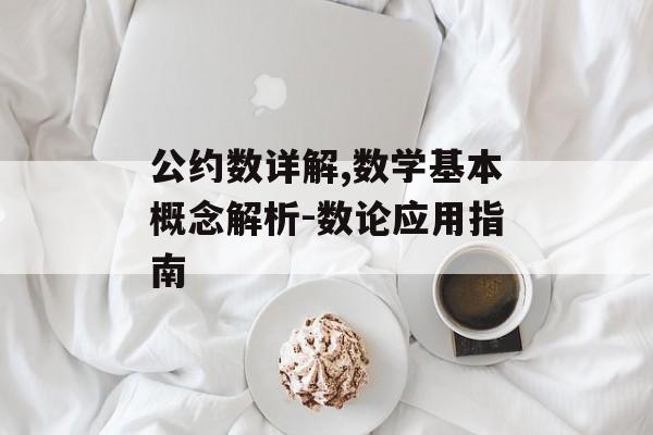 公约数详解,数学基本概念解析-数论应用指南