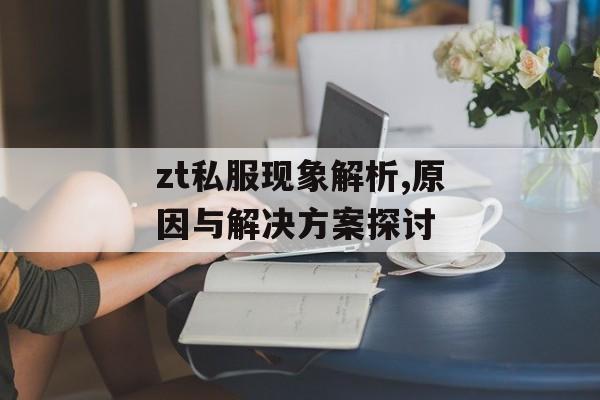 zt私服现象解析,原因与解决方案探讨