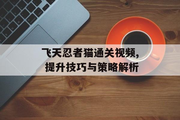 飞天忍者猫通关视频, 提升技巧与策略解析