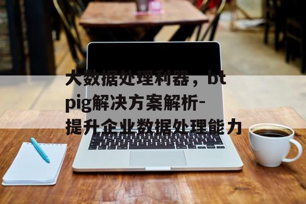 大数据处理利器，btpig解决方案解析-提升企业数据处理能力