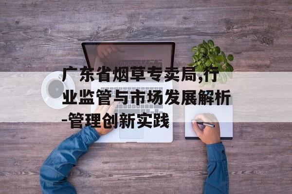 广东省烟草专卖局,行业监管与市场发展解析-管理创新实践