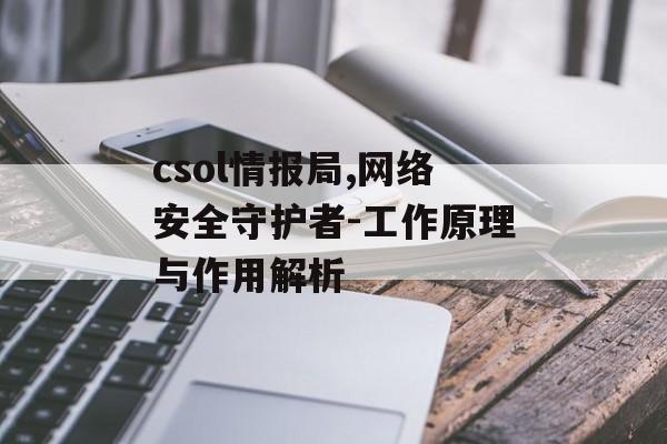 csol情报局,网络安全守护者-工作原理与作用解析