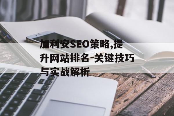加利安SEO策略,提升网站排名-关键技巧与实战解析