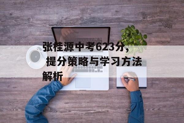 张桂源中考623分, 提分策略与学习方法解析
