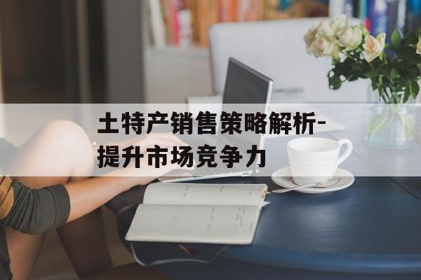 土特产销售策略解析-提升市场竞争力