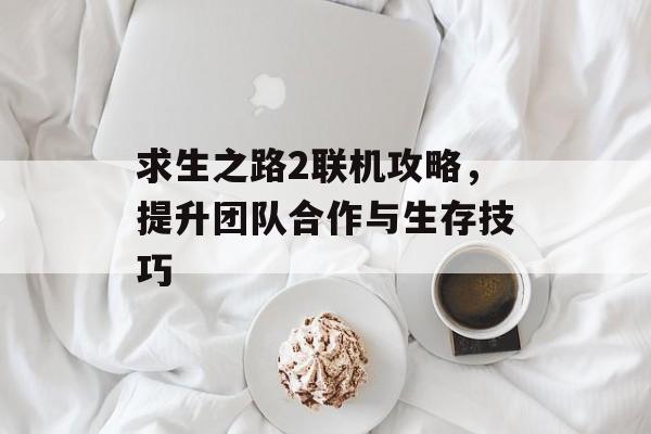 求生之路2联机攻略，提升团队合作与生存技巧