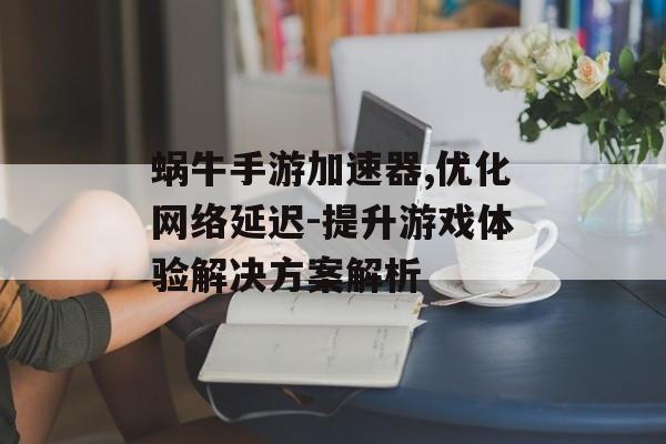 蜗牛手游加速器,优化网络延迟-提升游戏体验解决方案解析