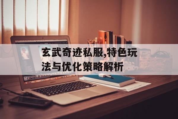 玄武奇迹私服,特色玩法与优化策略解析