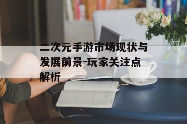 二次元手游市场现状与发展前景-玩家关注点解析