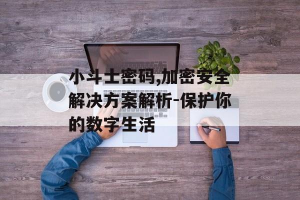 小斗士密码,加密安全解决方案解析-保护你的数字生活