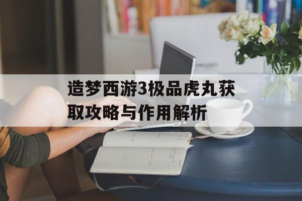 造梦西游3极品虎丸获取攻略与作用解析